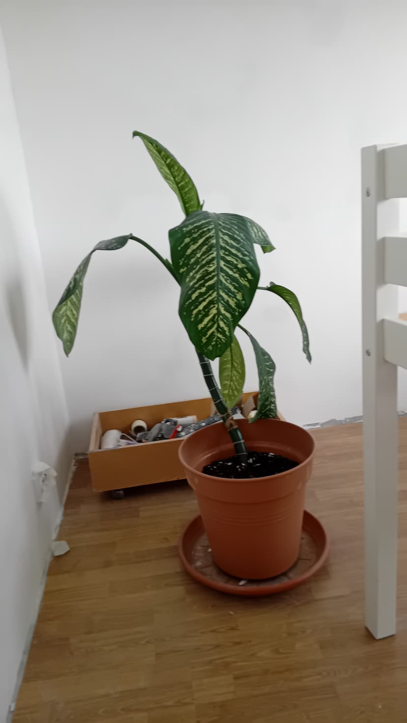 源