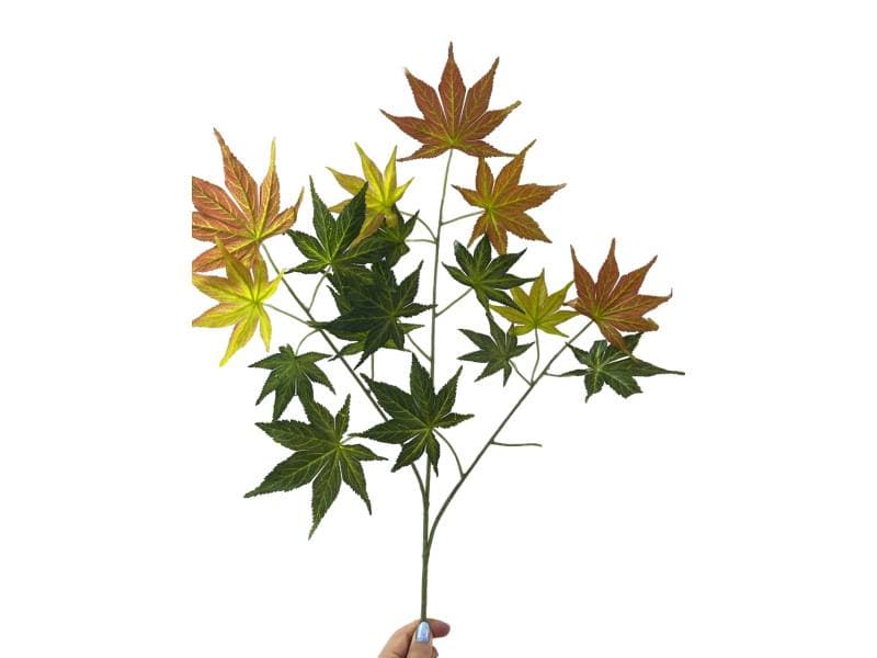 源